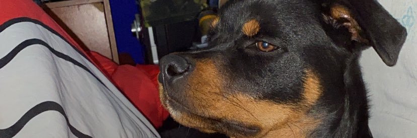 Matilautaro_pr's profile banner image