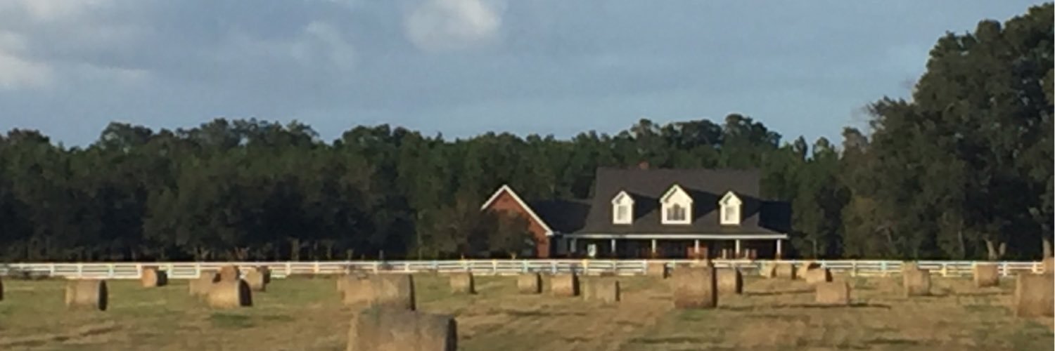 dallyjoe's profile banner image