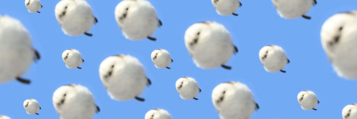__u___kr's profile banner image