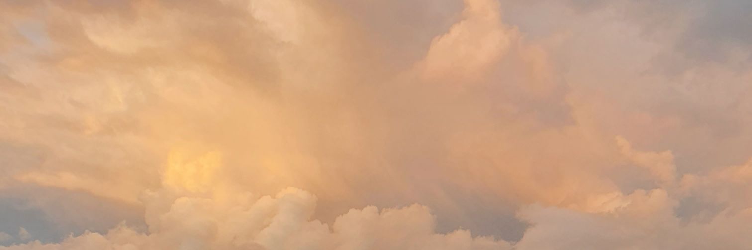Omar Bautista banner