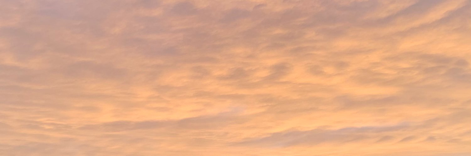 Matilde banner