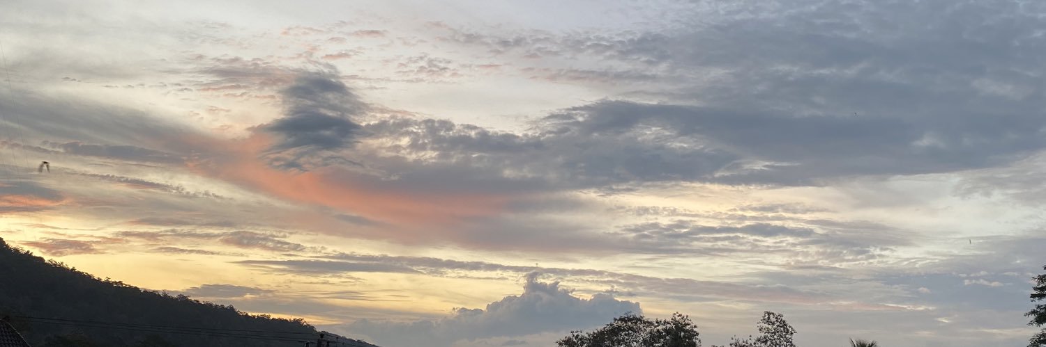 reniutaari's profile banner image