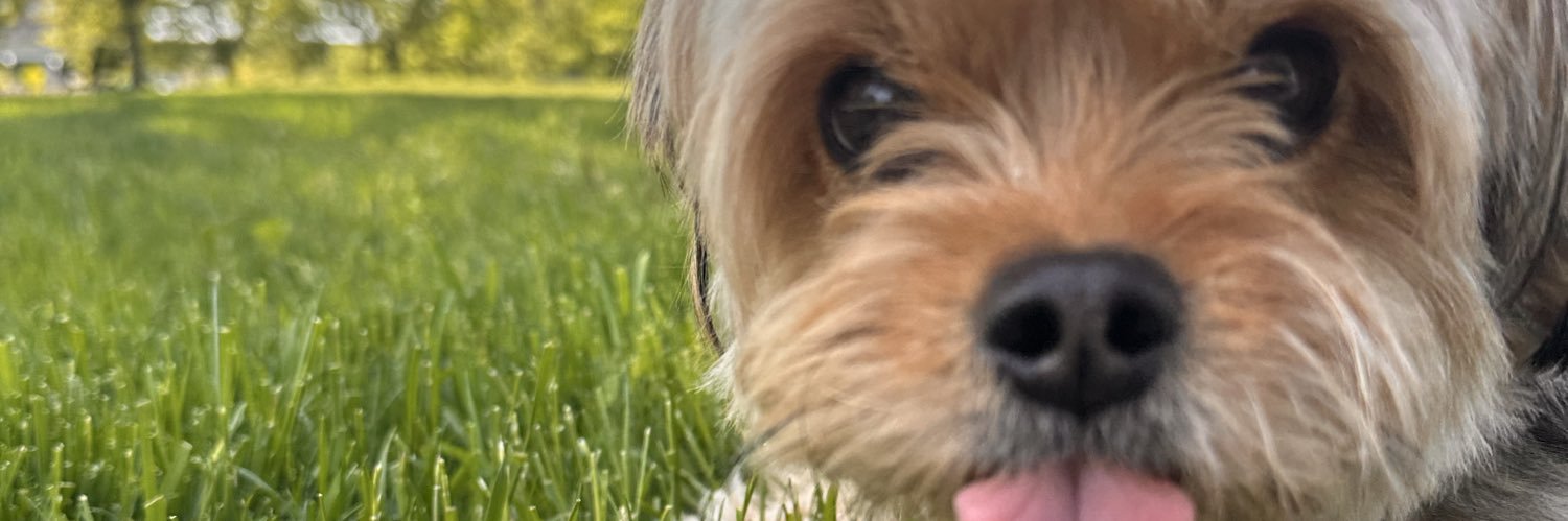 danakit's profile banner image