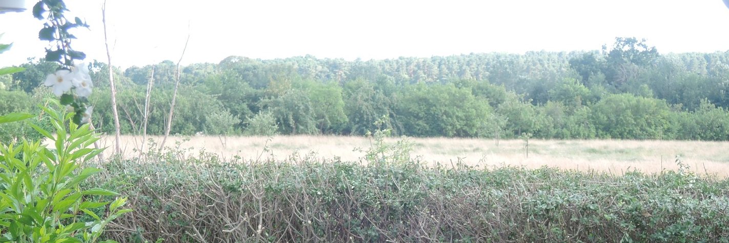 Sebastian Sperlich banner