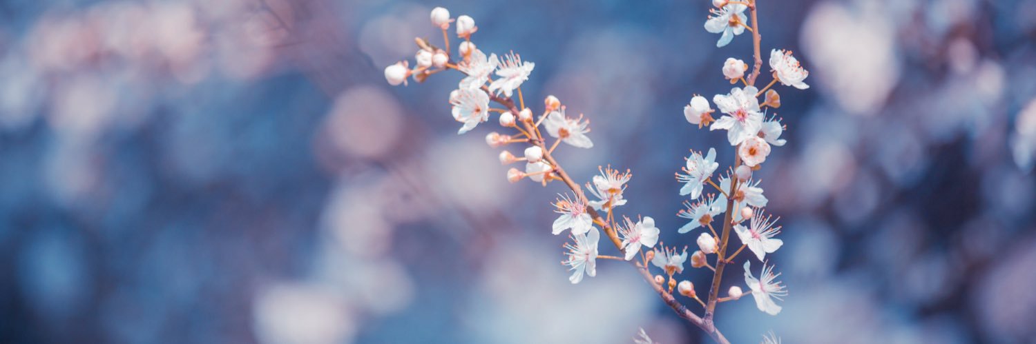 _lauraalp's profile banner image