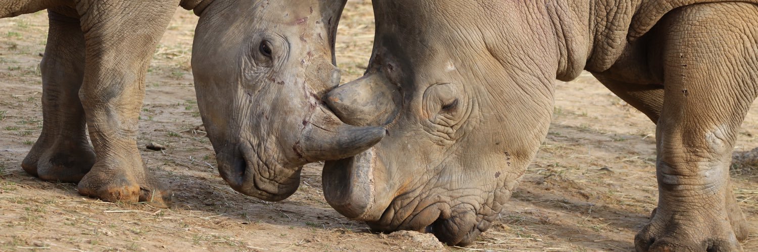 David Christopher Hopkinson banner