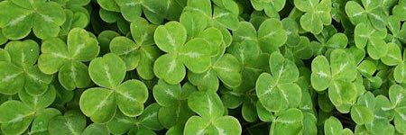 Jessica McQuatters banner