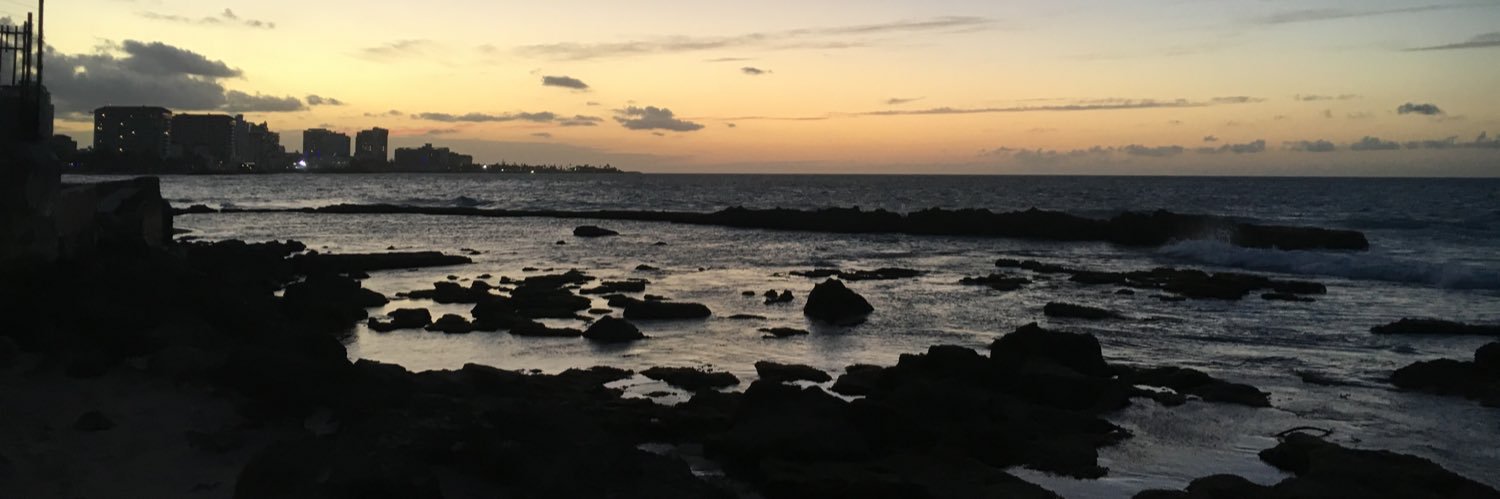 LaylieLu9's profile banner image