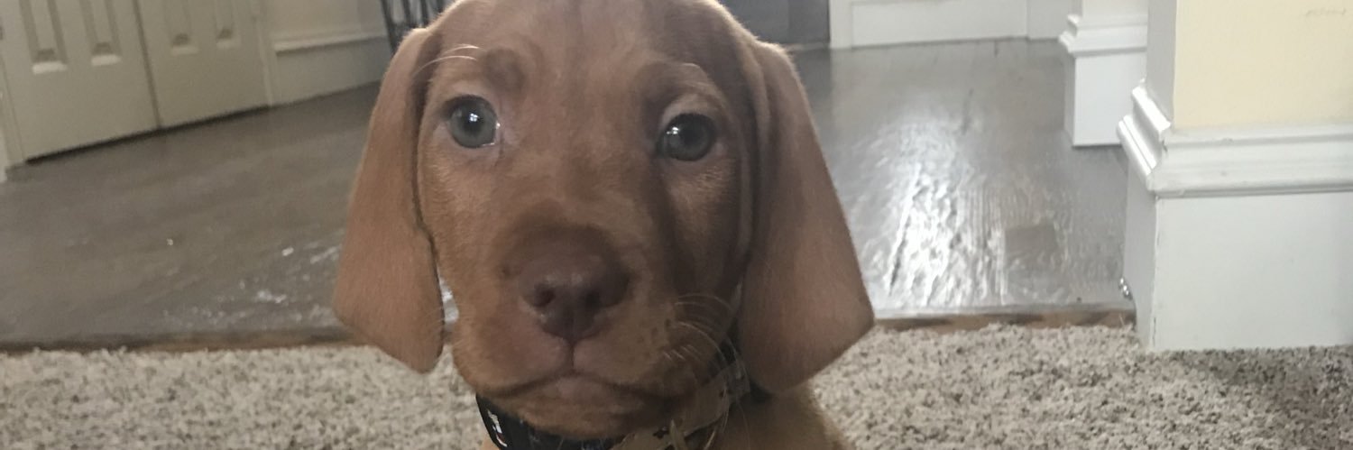 larrycullum's profile banner image