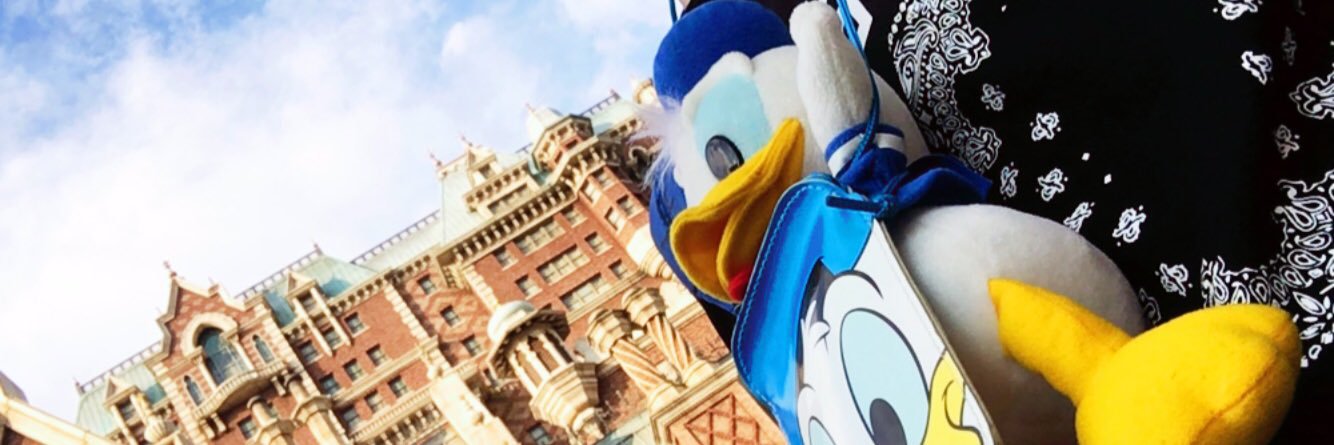DonaldxDuck69's profile banner image