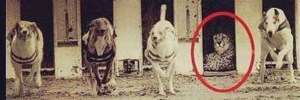 DominicRijos Profile Banner