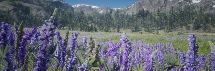 arthur enthusiast ♡ banner