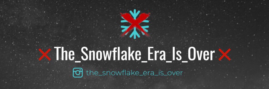 Snowflakes_Over's profile banner image