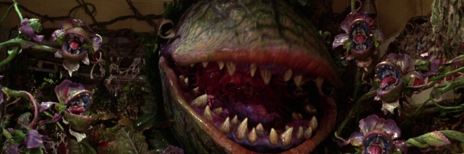 PansySouthern's profile banner image