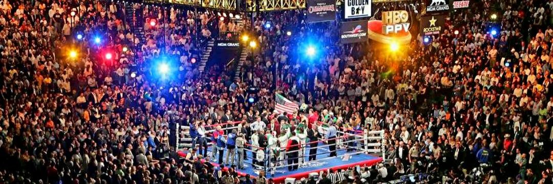 FIGHT🥊EVERY🎙 NIGHT🔔🇸🇮🇮🇪🇲🇽🇬🇧🇧🇷🇯🇵 banner