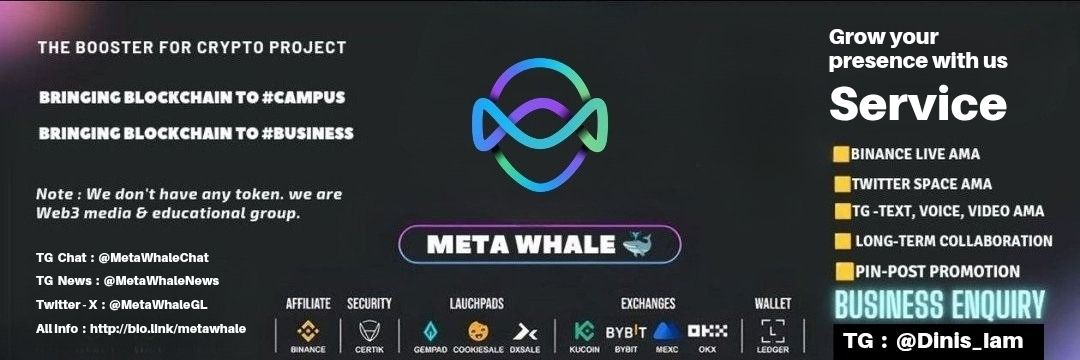 Meta Whale Official banner