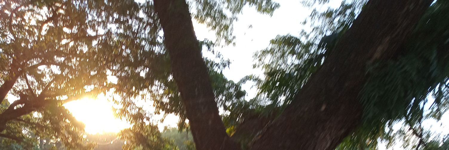 fikarrisqullah's profile banner image
