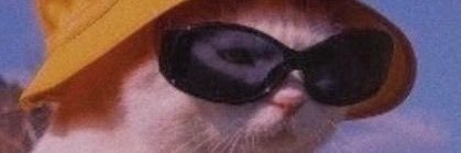 j_meandre's profile banner image
