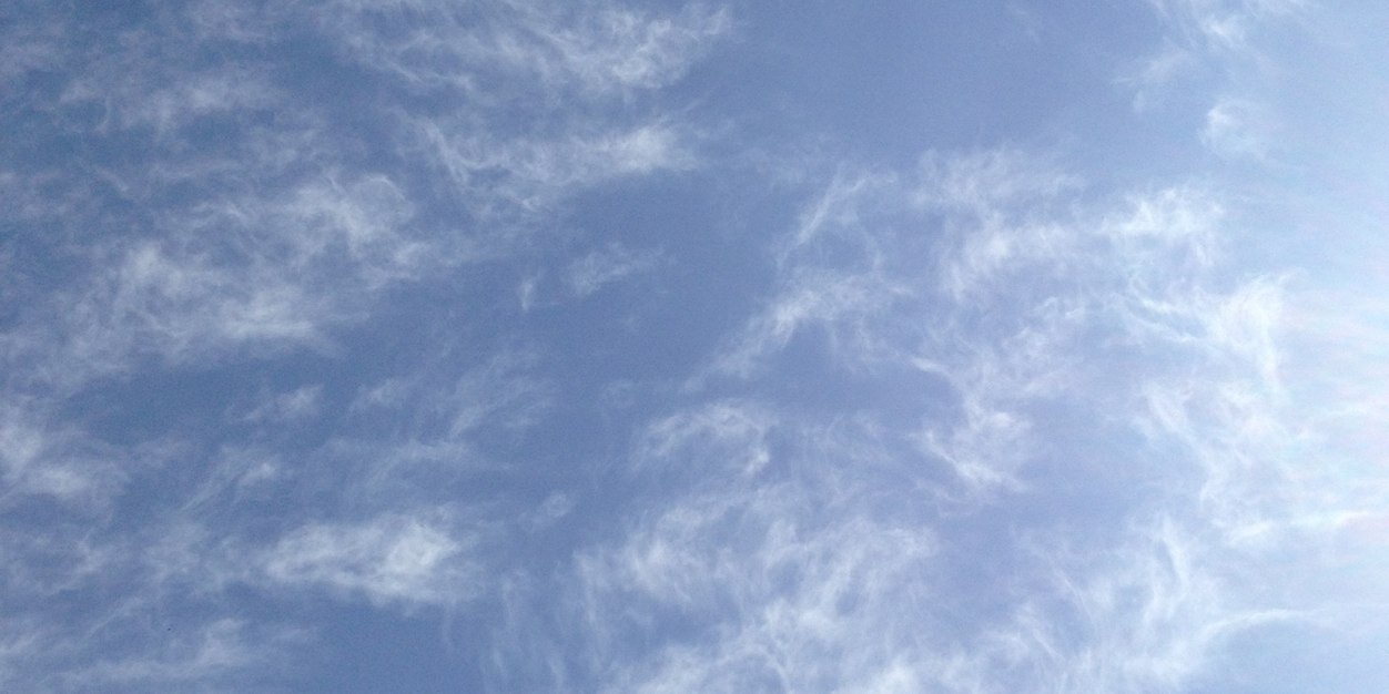 Dafne Gallardo banner