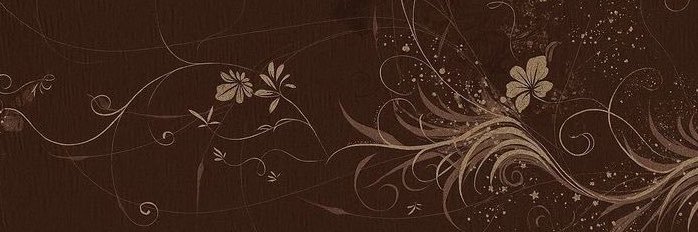 lipabfr's profile banner image