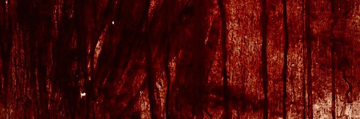 𝕰𝖙𝖊𝖗𝖓𝖆𝖑𝖑𝖞𝖉𝖊𝖘𝖎𝖗𝖊𝖉🖤✨ banner