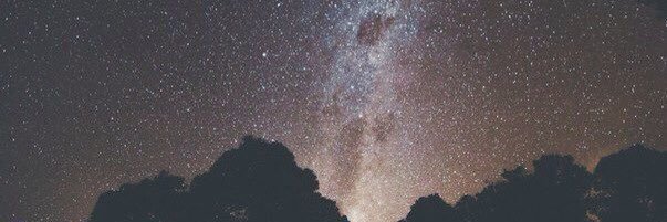 neexuyasee's profile banner image
