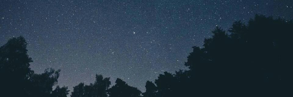 Beahernd's profile banner image