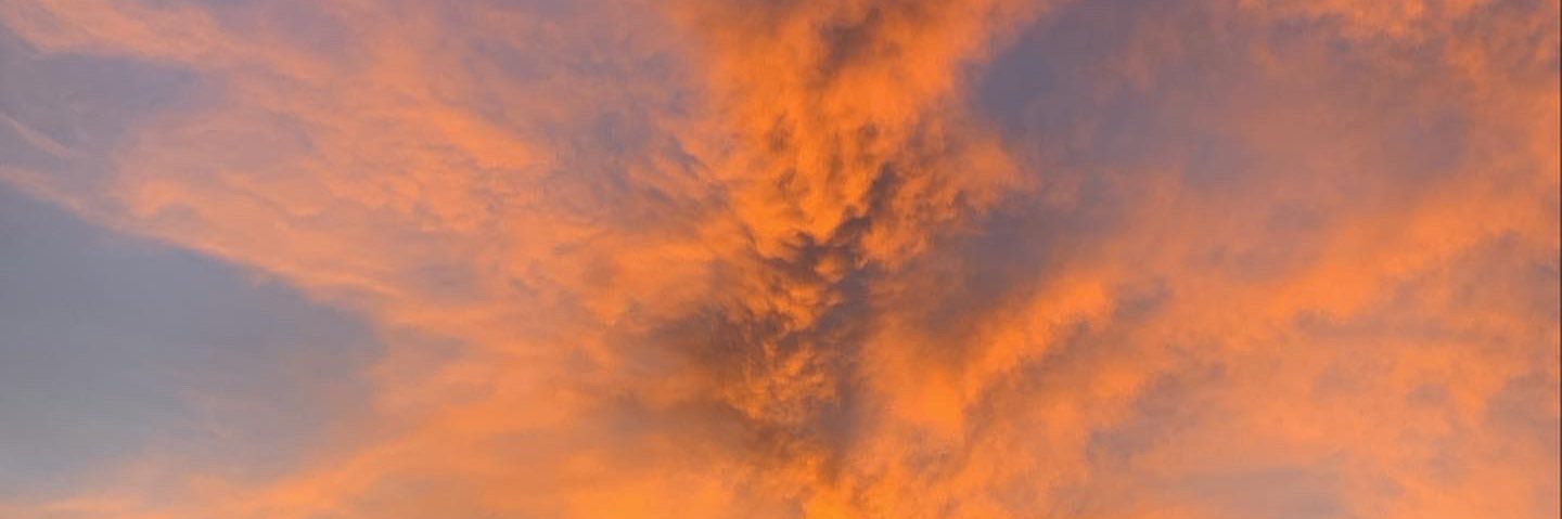RomauliVeronica's profile banner image