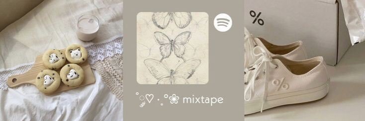 havyn banner