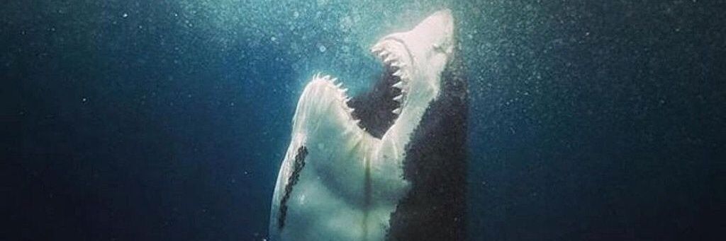 When do we get XMail? banner