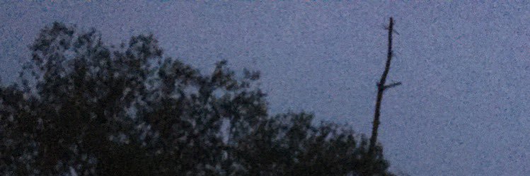 cox_johann's profile banner image