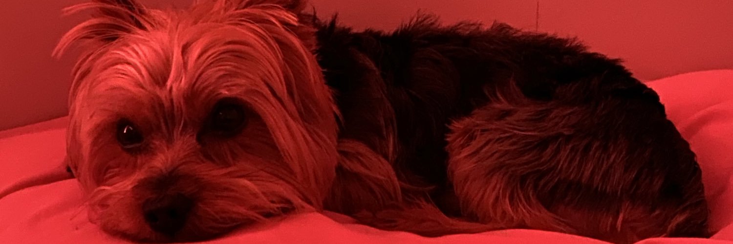 StewartGlorious's profile banner image
