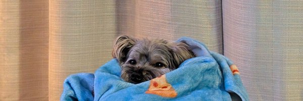 jamesc0mpany Profile Banner