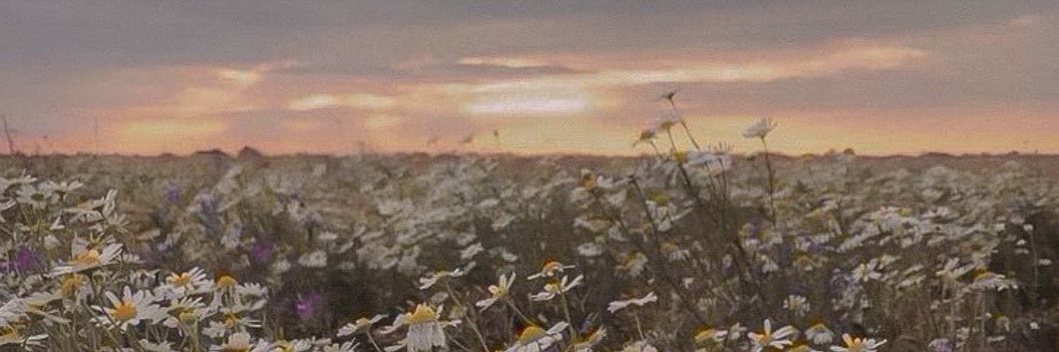 ⭒☽ banner