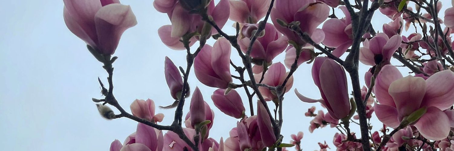 elle clover's banner