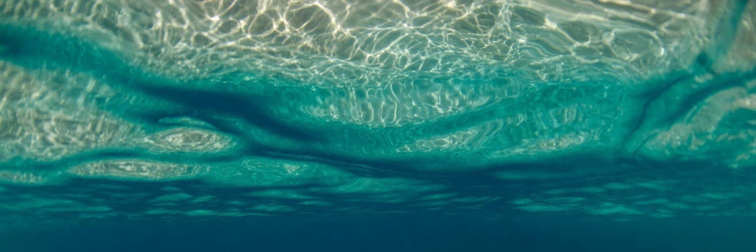 Fran Tweebill banner