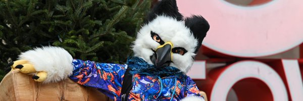 Callobirb Profile Banner