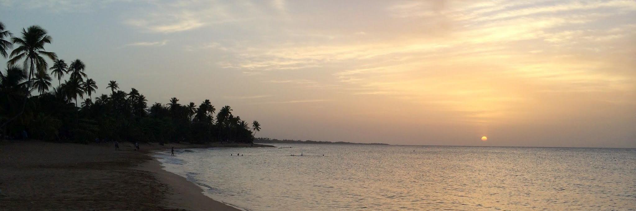 Patrick Hediger banner