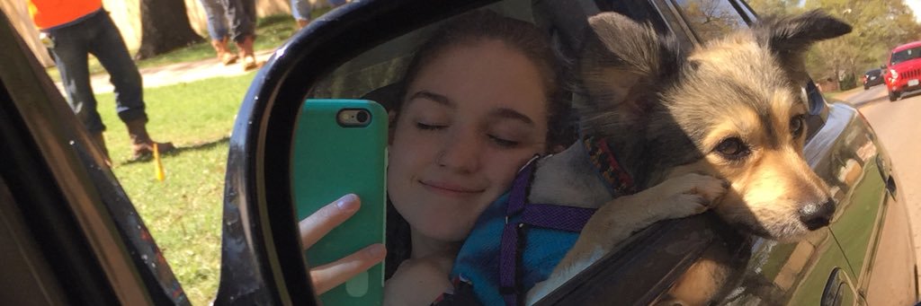 laurennwilliamz's profile banner image