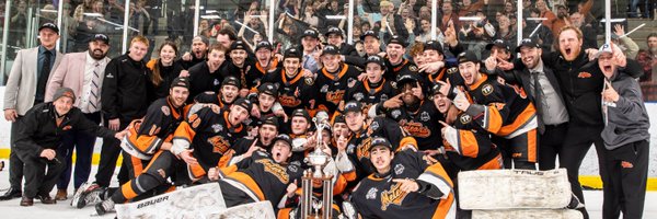 passero4 Profile Banner