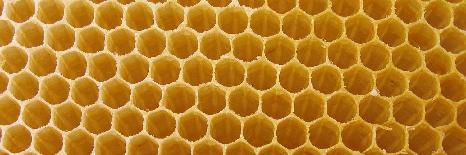 UrbanBuzz's profile banner image