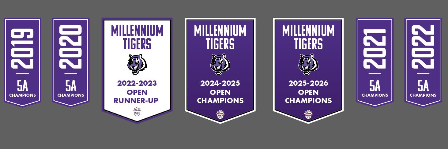 Lady Tiger Basketball banner