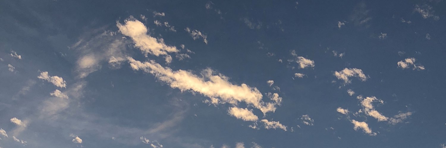 puiihoo's profile banner image