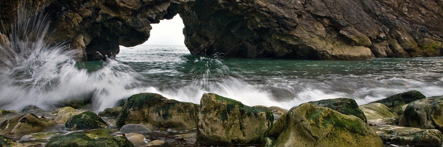 renee_delft's profile banner image
