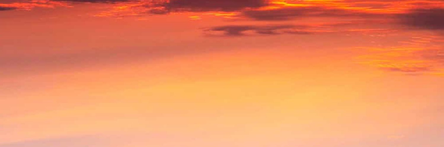 LionKopf's profile banner image