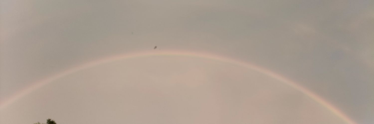 ellunab's profile banner image