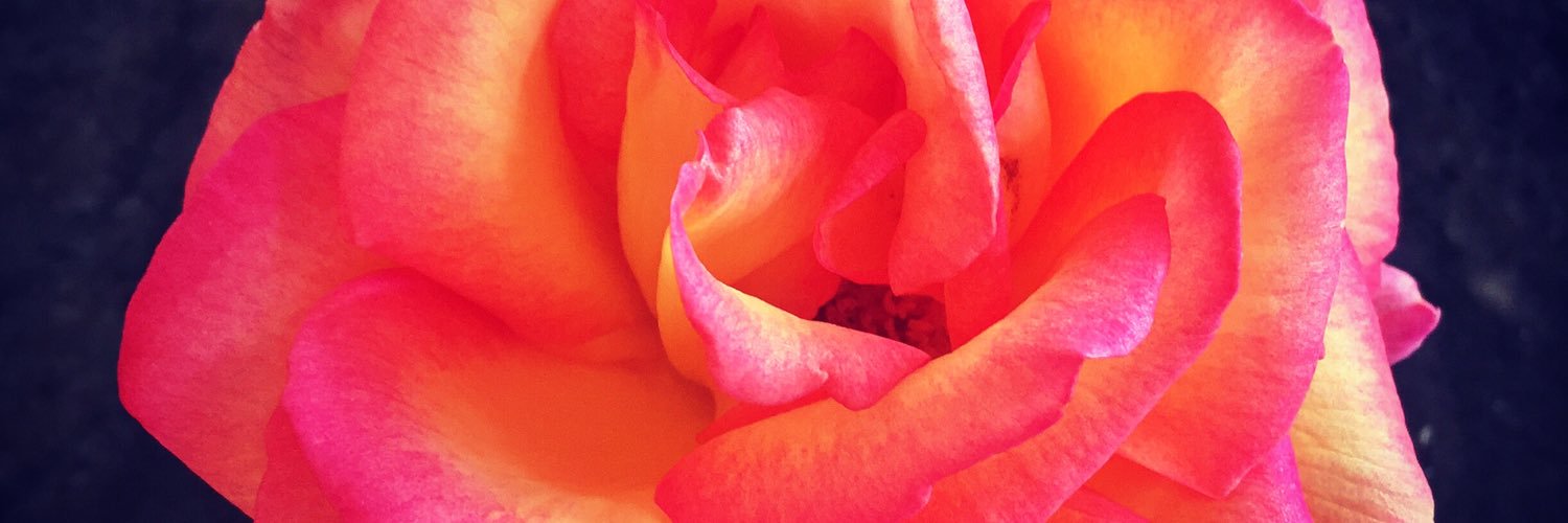 missamyly's profile banner image