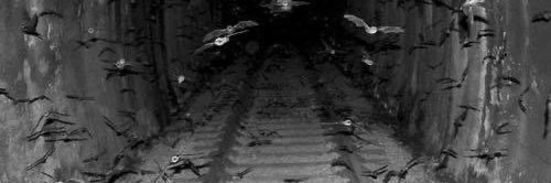 mitchmustdie's profile banner image