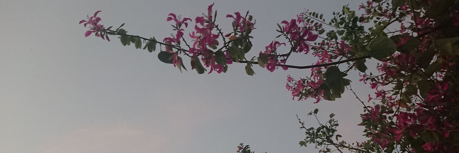 metottenham's profile banner image