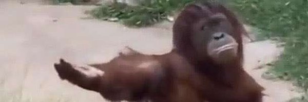 benmccarthy22 Profile Banner